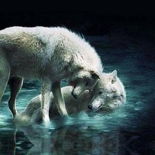 Схема вышивки «Волки»