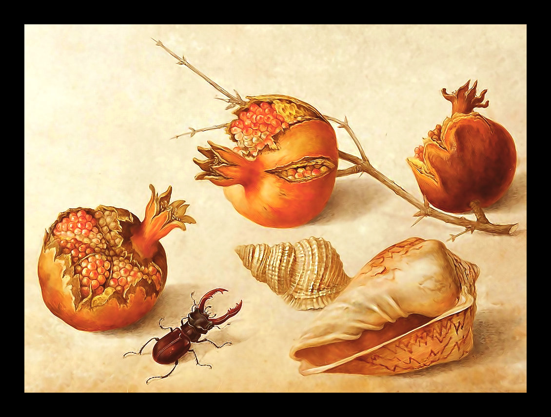 Серия "Натюрморты". Гранат и жук - фрукты, гранат, натюрморт, жук - оригинал