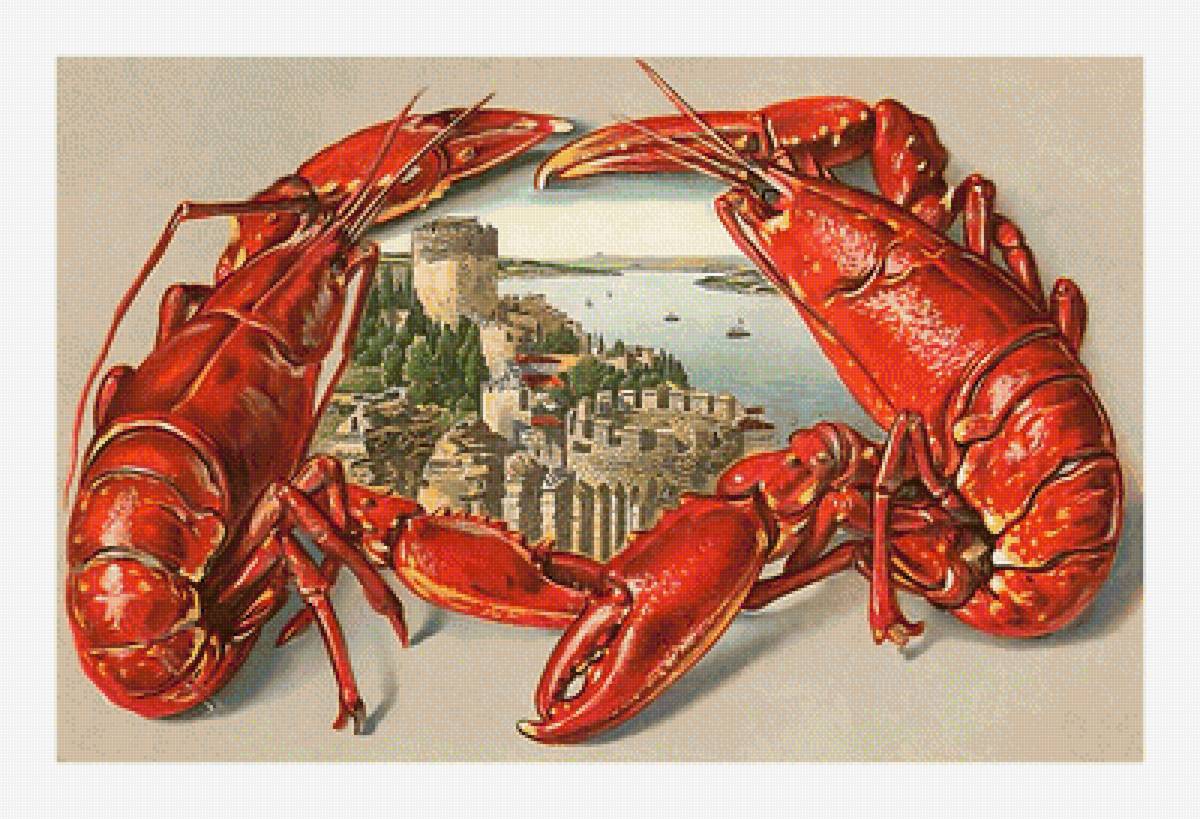 Раки - раки - предпросмотр