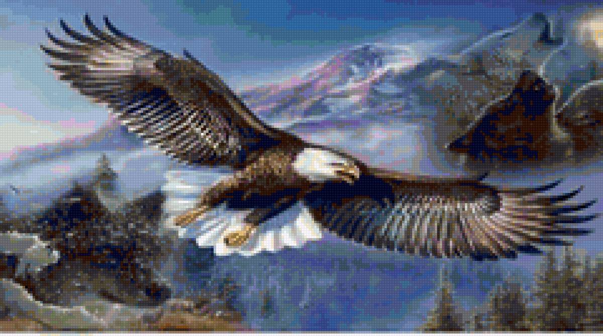 птицы - орел - предпросмотр