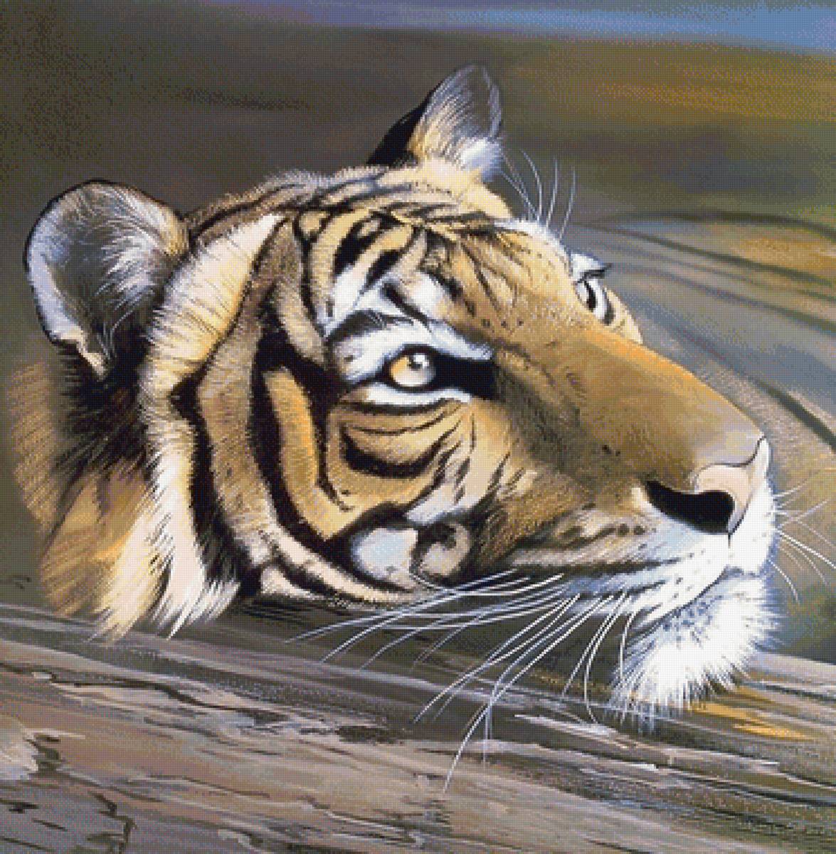 тигр - мир животных, тигр - предпросмотр