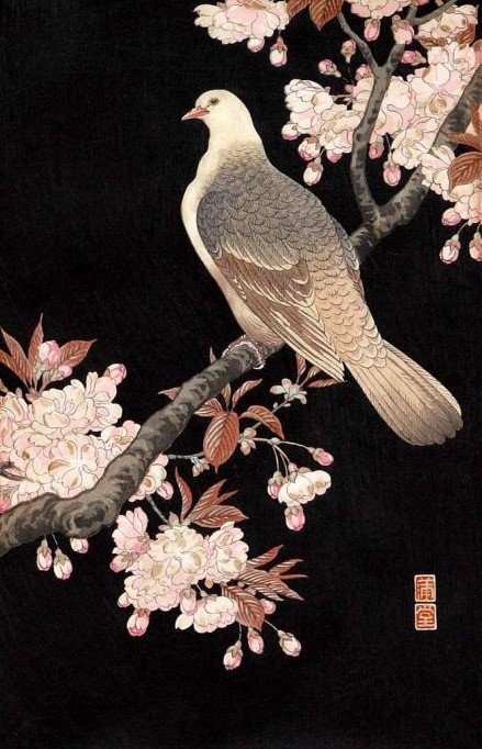 птицы - оригинал