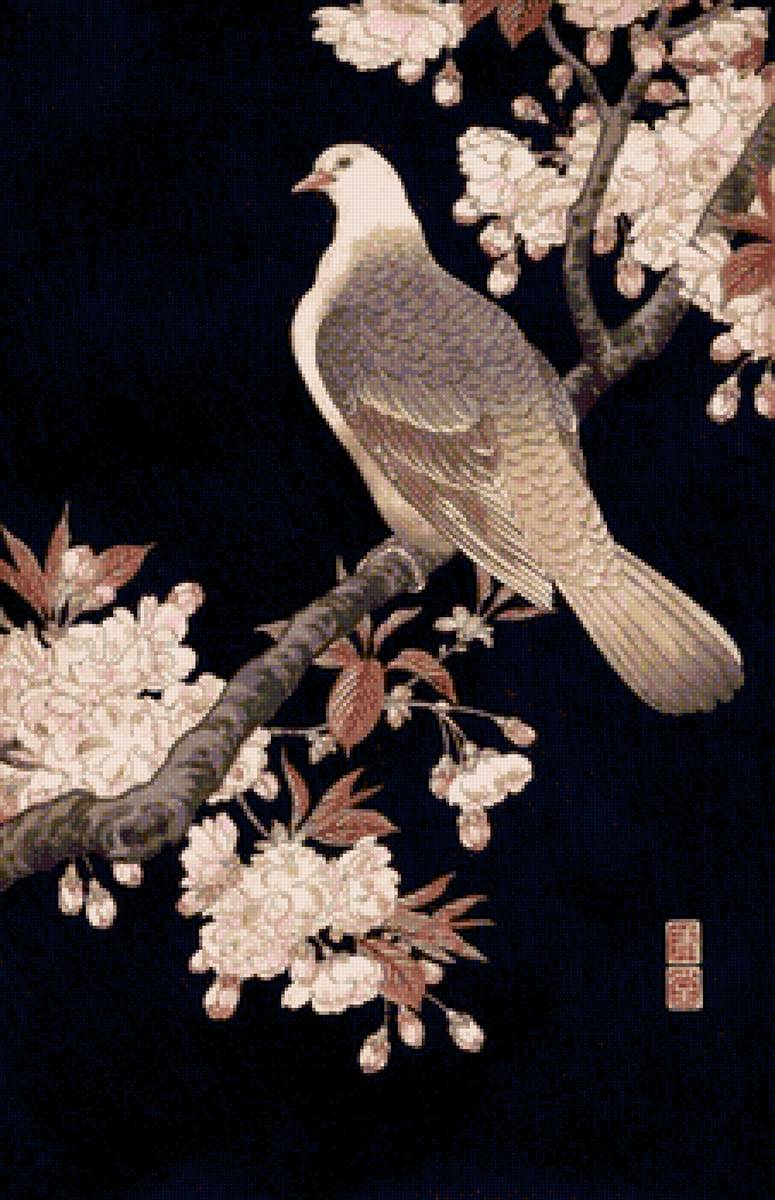 птицы - предпросмотр