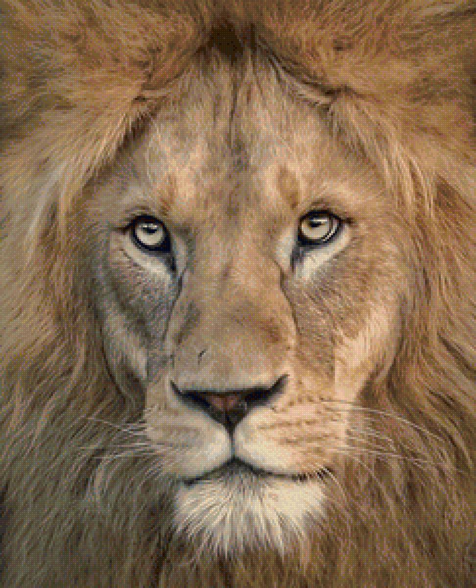 дикие - предпросмотр