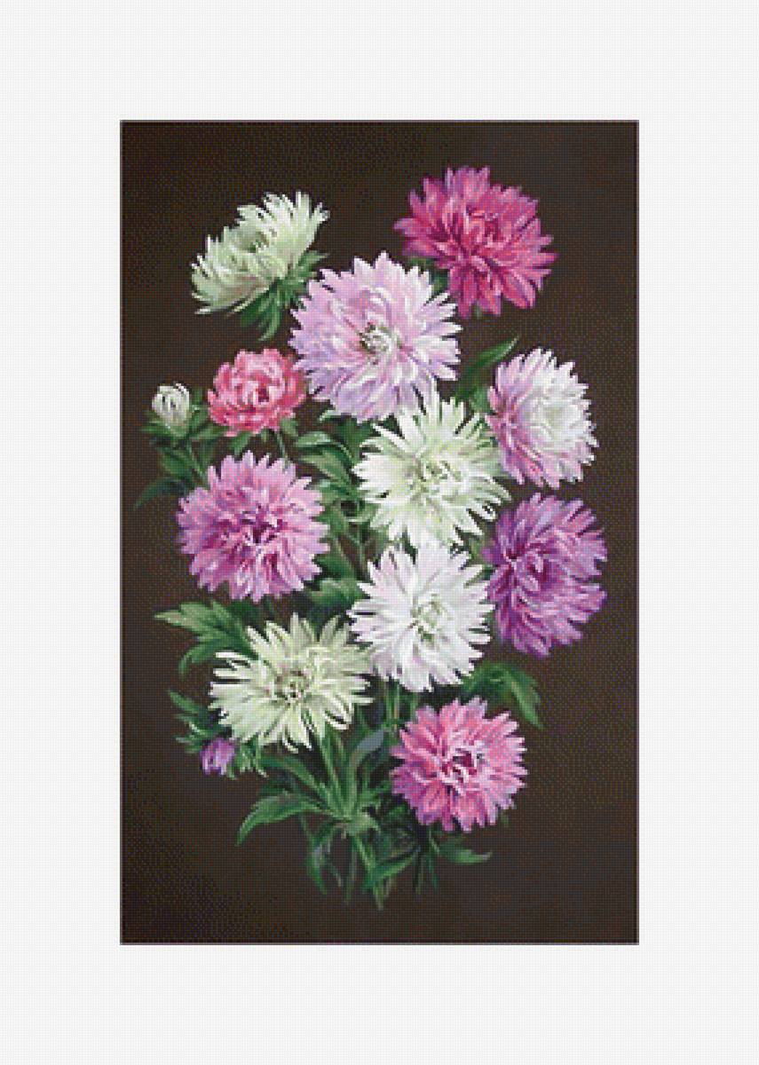 Астры. - хризантемы, живопись, астры, букет, цветы - предпросмотр