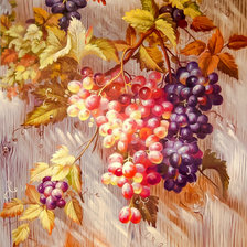 Оригинал схемы вышивки «Grapes.» (№2033804)