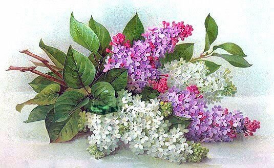 цветы - оригинал