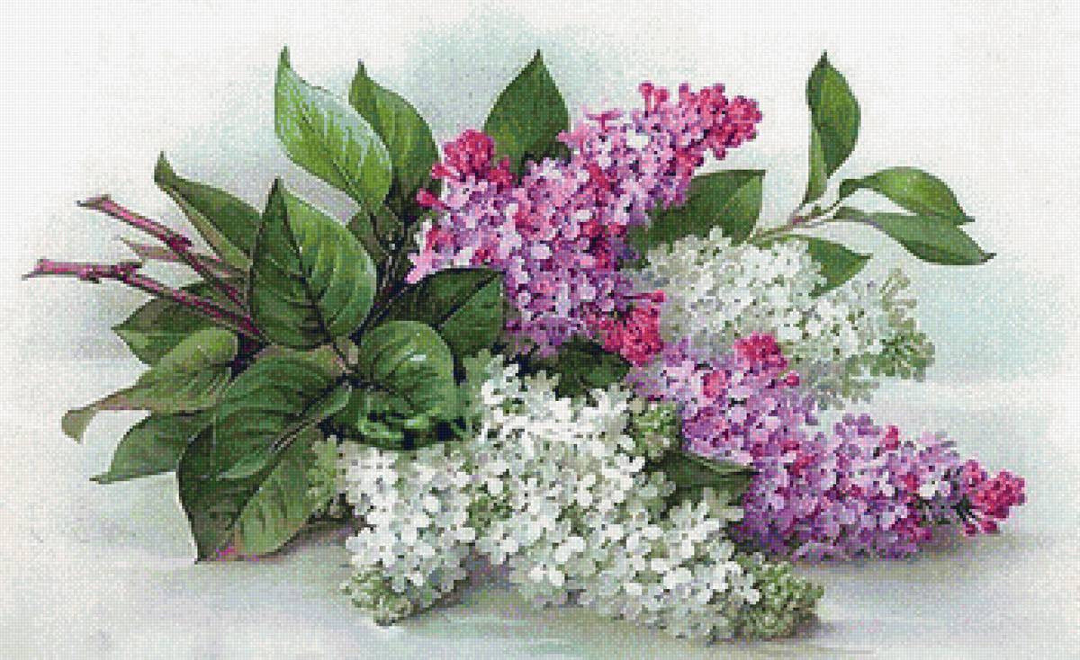 цветы - предпросмотр