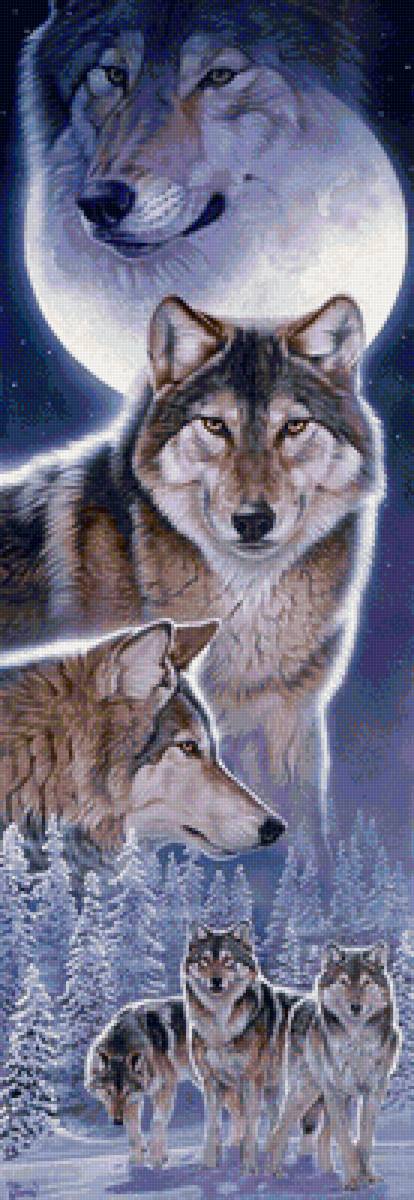 дикие - предпросмотр