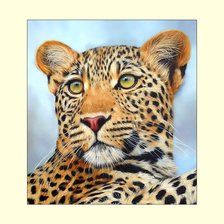 Оригинал схемы вышивки «Леопард.» (№2034137)