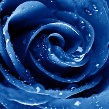 Схема вышивки «№2034597»