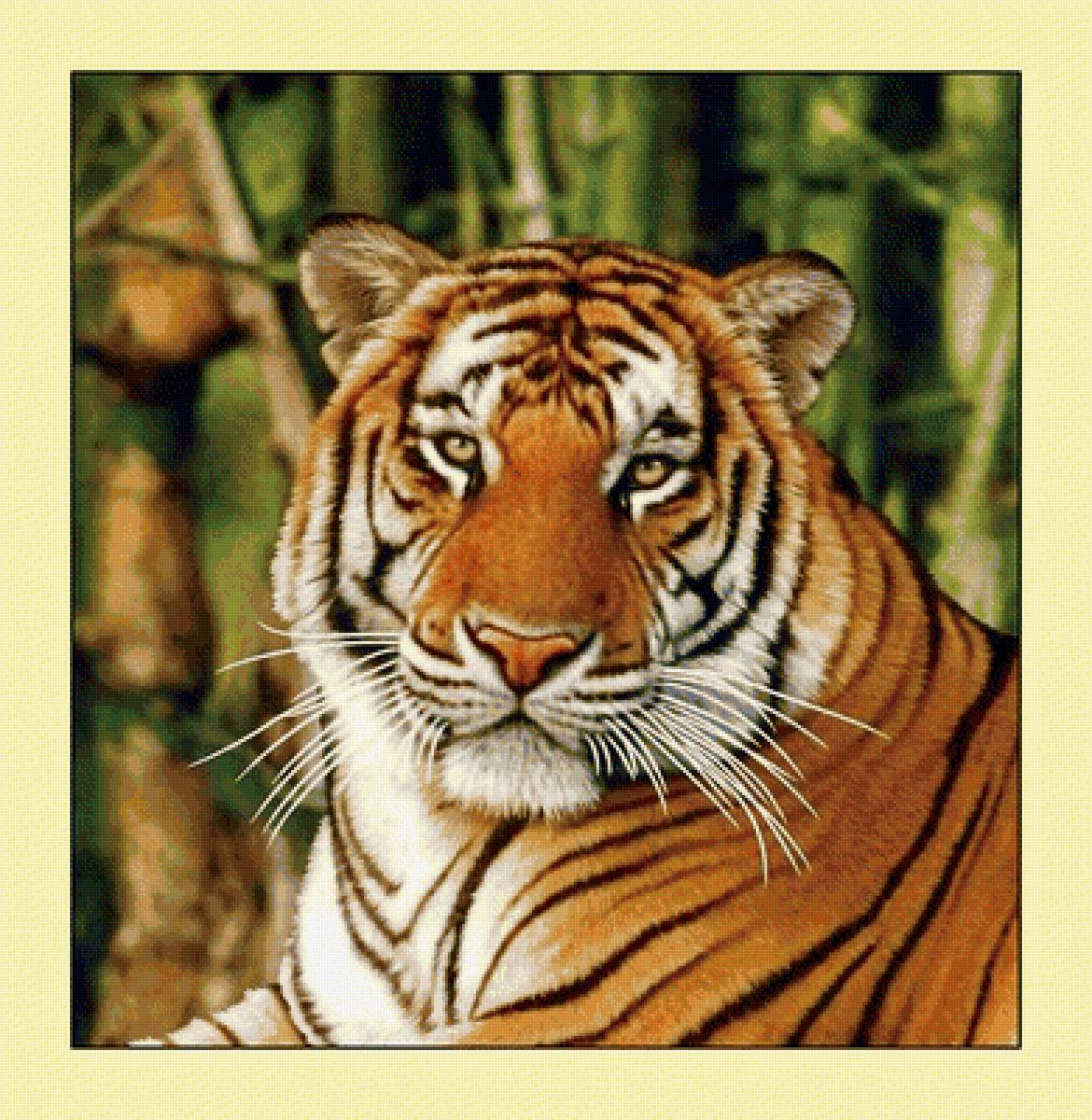 №2034803 - хищники, тигры, животные, тигр - предпросмотр