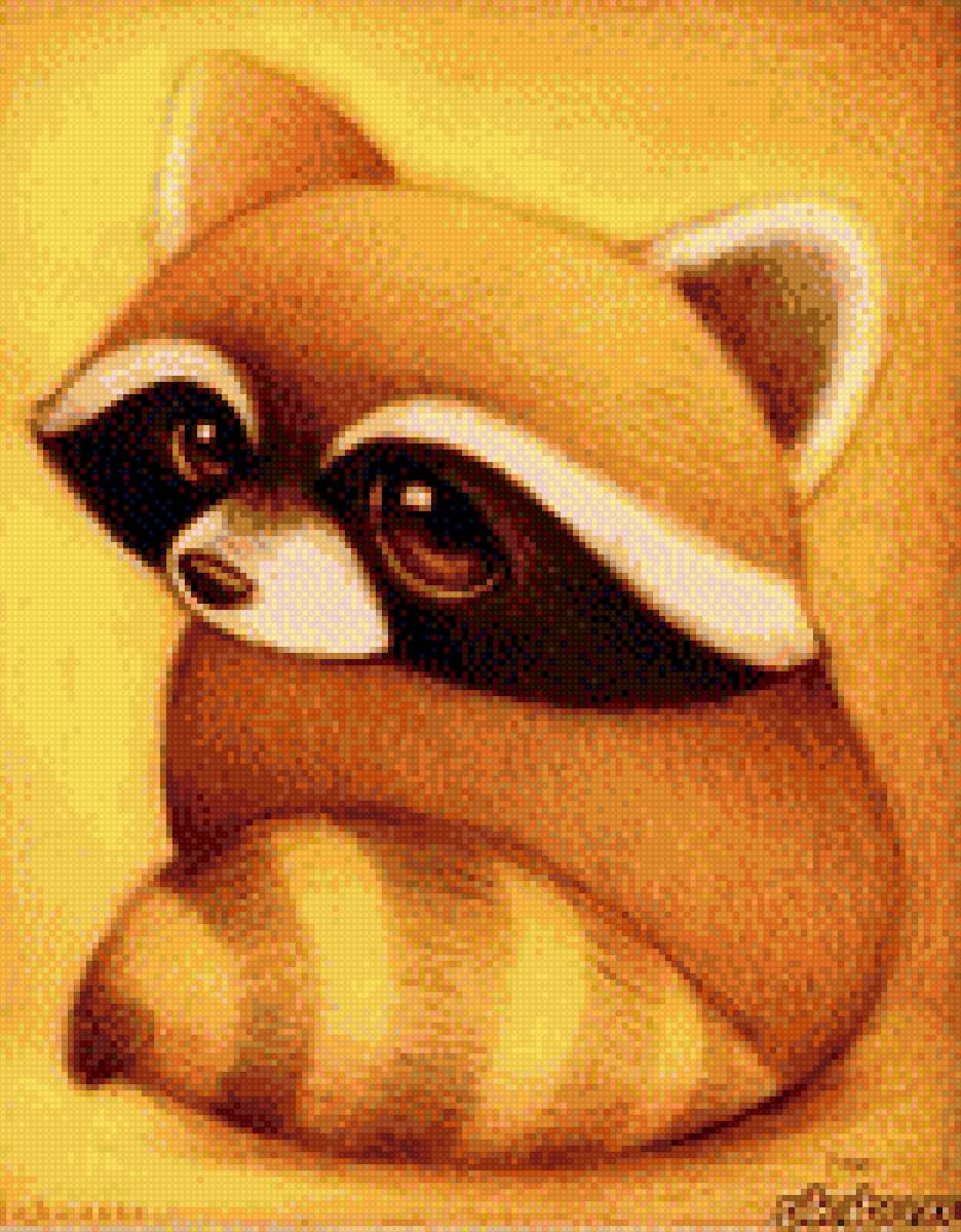 енот - предпросмотр