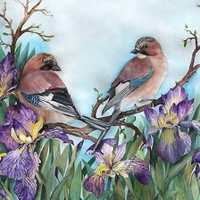 Схема вышивки «птички»