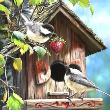 Схема вышивки «птички»