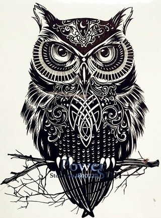 сова - оригинал