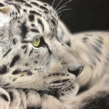 Схема вышивки «№2035098»