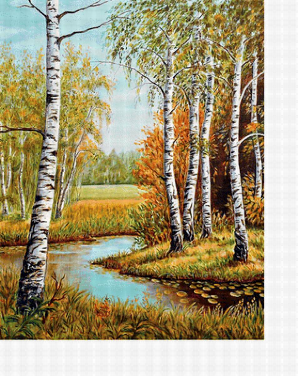 Березки - поле, река, пейзаж, осень - предпросмотр