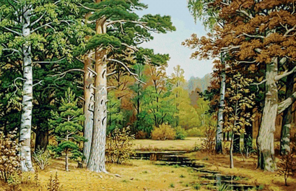 пейзаж - пейзаж, сосны, деревья, ручей, лес - предпросмотр