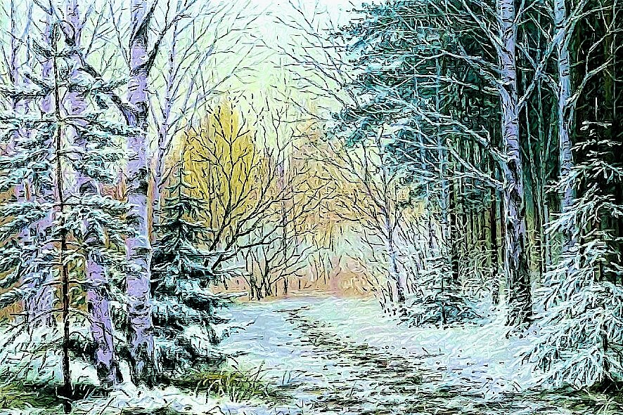 зимний лес - пейзаж, лес, зима, тропинка, деревья - оригинал