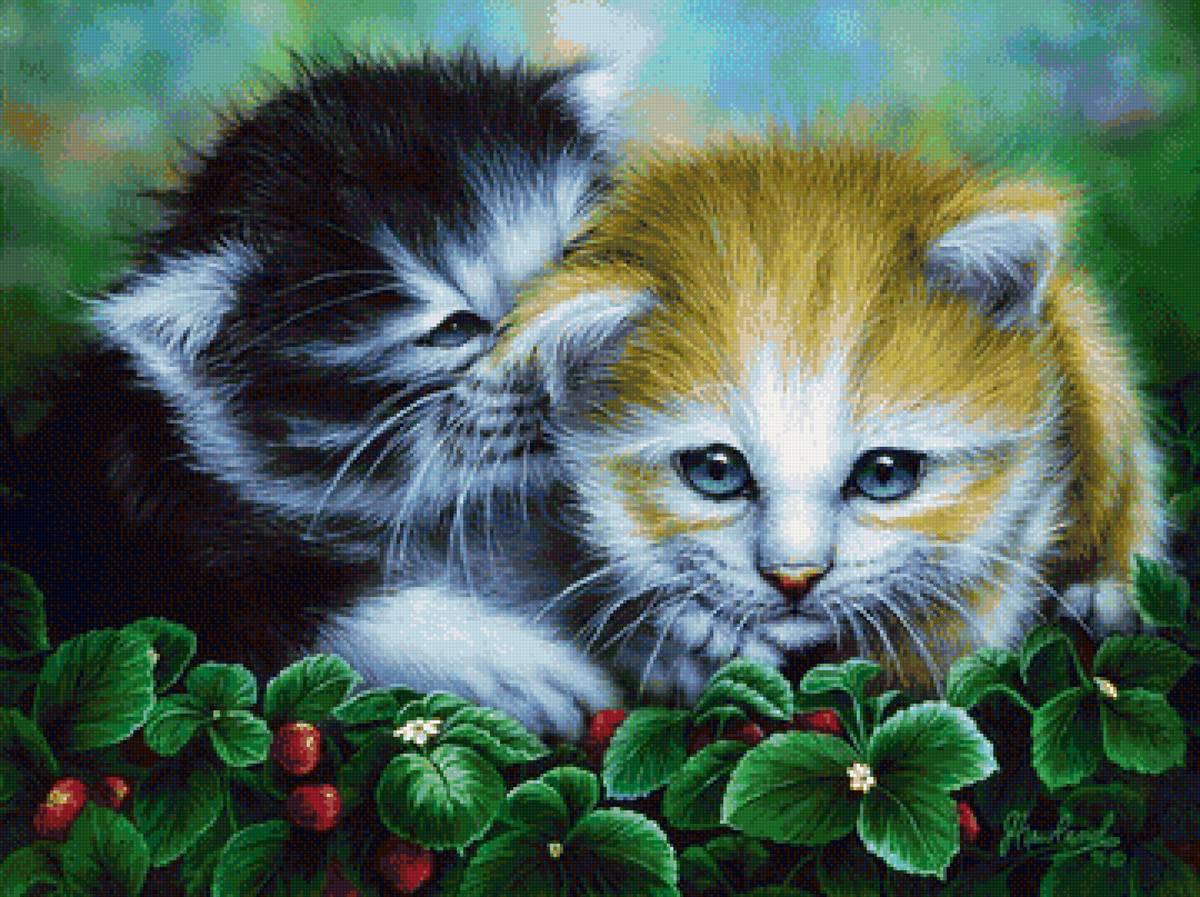 Котята - земляника, котята, ягоды - предпросмотр