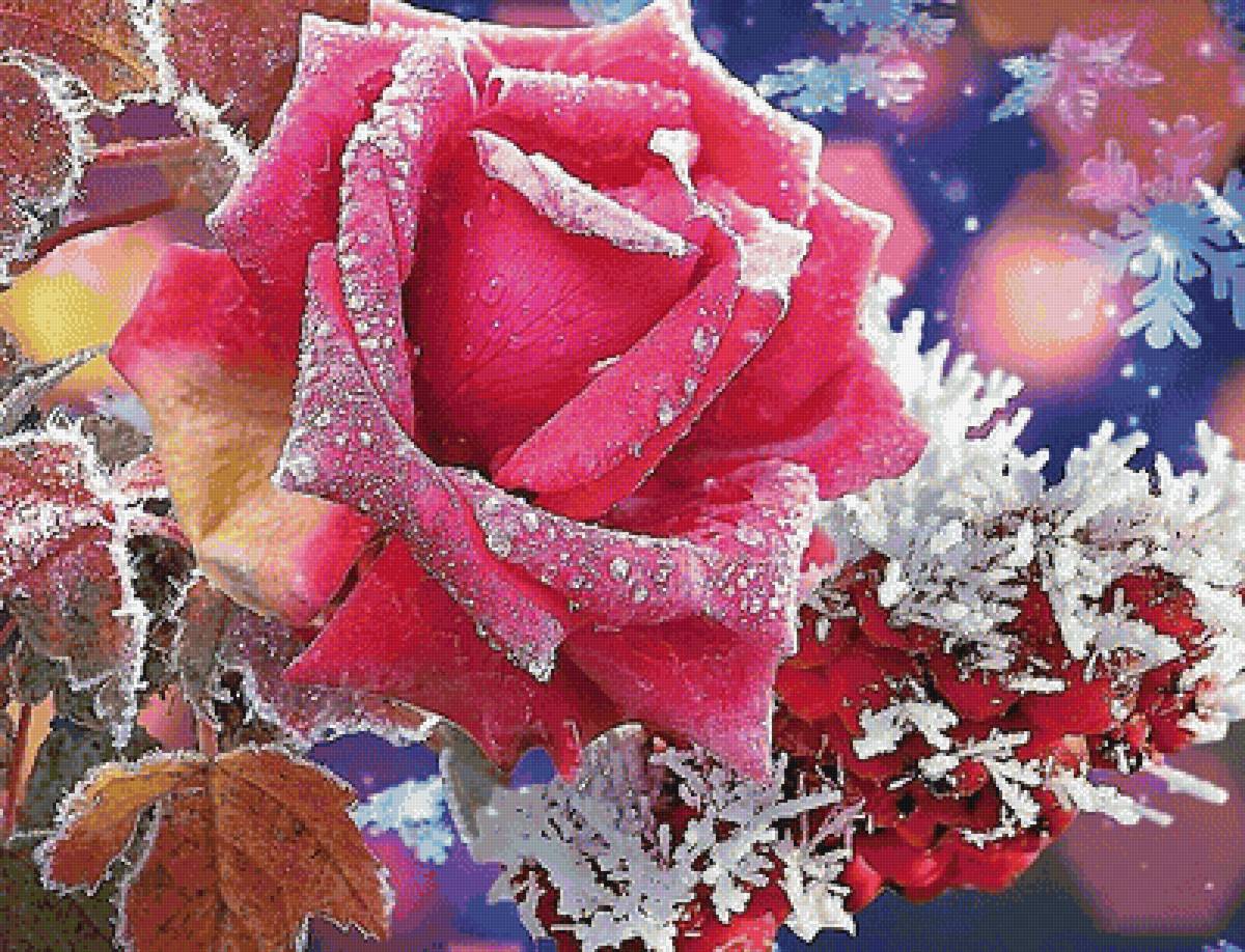 №2036479 - предпросмотр