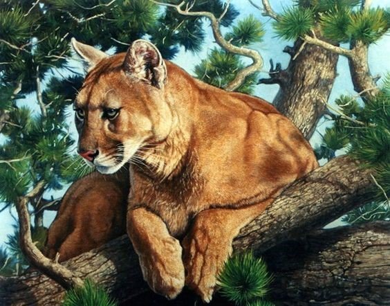 дикие - оригинал