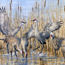 Схема вышивки «№2036517»