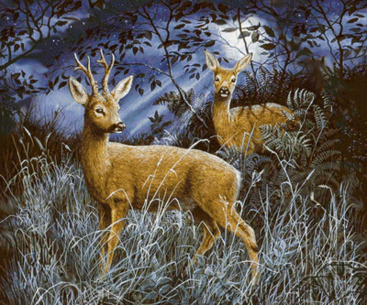Вечерняя прогулка - олени, лес - предпросмотр