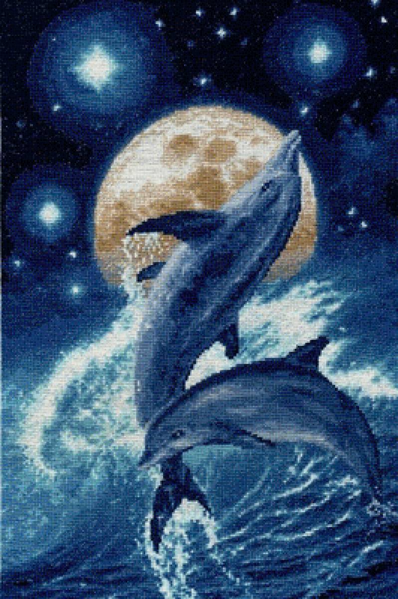 Дельфины - море, дельфины - предпросмотр