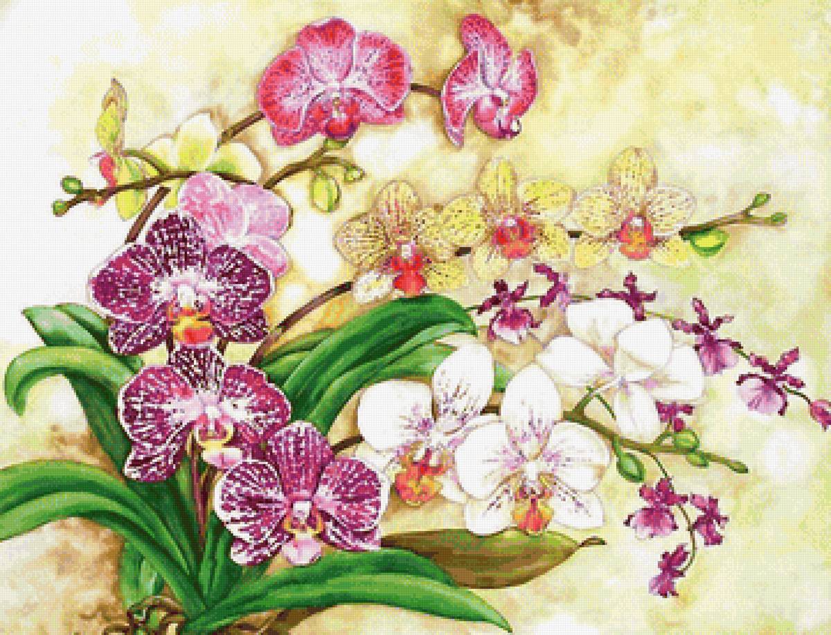 акварель - предпросмотр