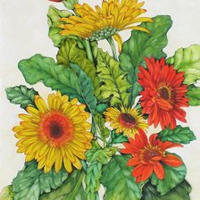 Схема вышивки «герберы»