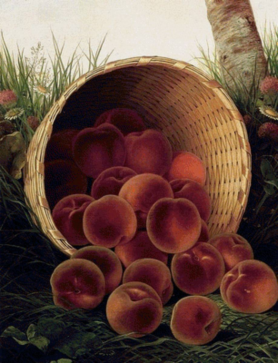 персики - предпросмотр