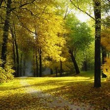 Схема вышивки «пейзаж»