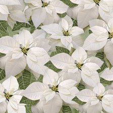 Схема вышивки «№2037720»