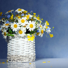 Схема вышивки «ромашки»