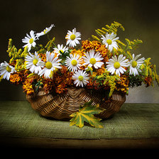 Схема вышивки «ромашки»