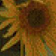Предпросмотр схемы вышивки «подсолнух» (№2037758)