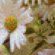 Предпросмотр схемы вышивки «ромашки» (№2037801)