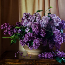 Схема вышивки «сирень»