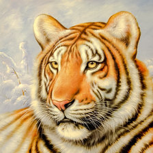 Оригинал схемы вышивки «Tiger close-up.» (№2037904)