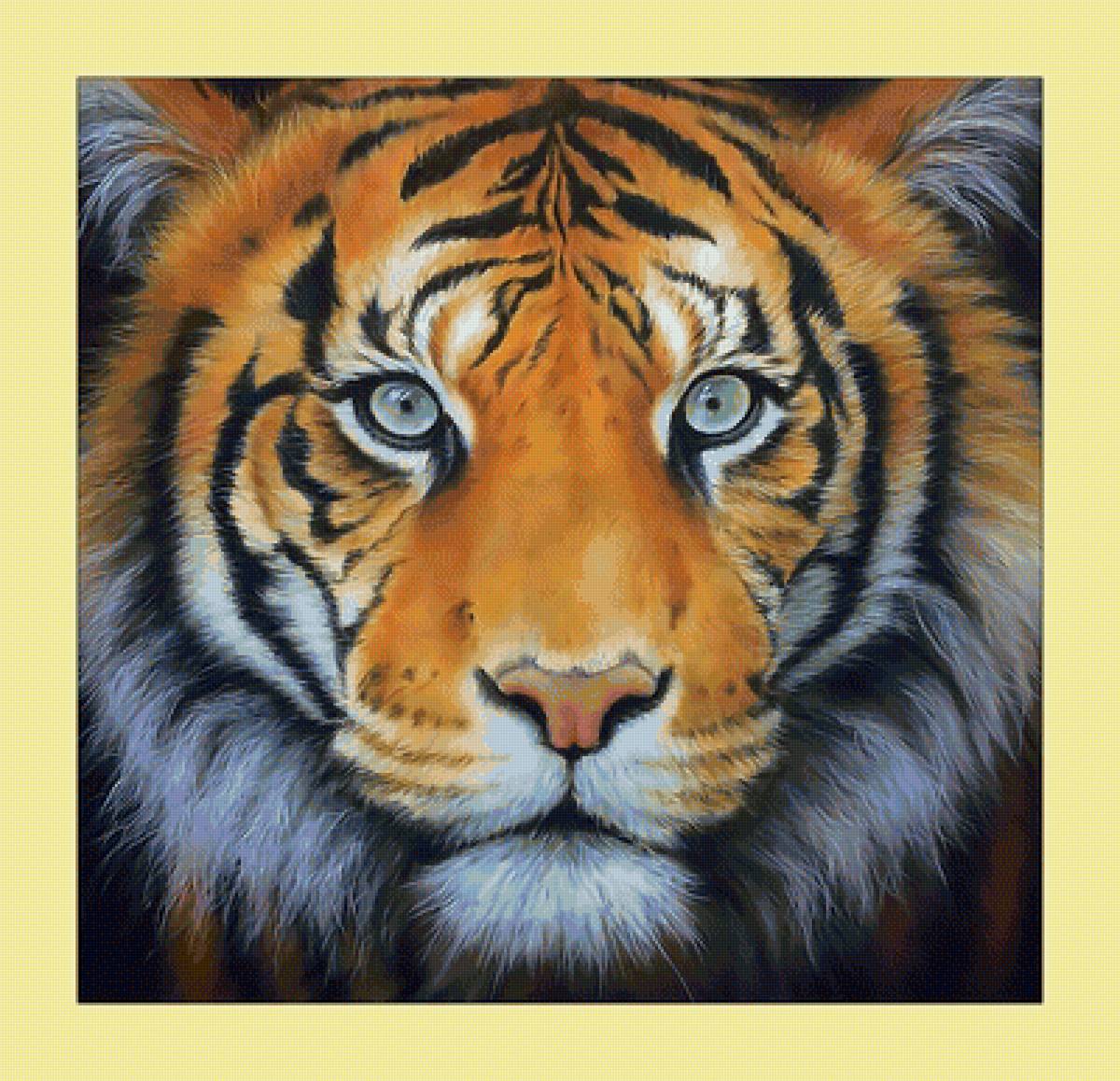 Взгляд тигра. - животные, хищник, взгляд, живопись, тигр - предпросмотр