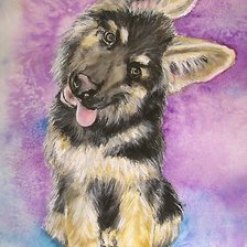 Схема вышивки «№2038073»