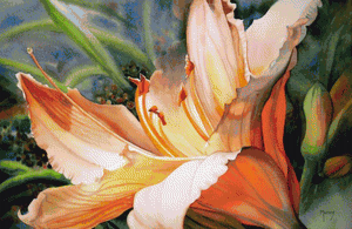 Цветок - цветы - предпросмотр