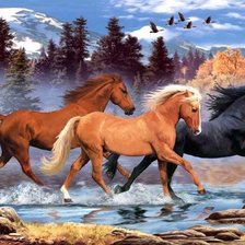 Схема вышивки «лошади»