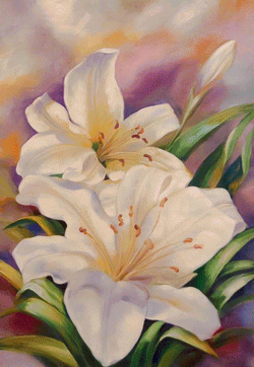 Lilies. - tina augusto bruno art.flowers and gardens. - предпросмотр