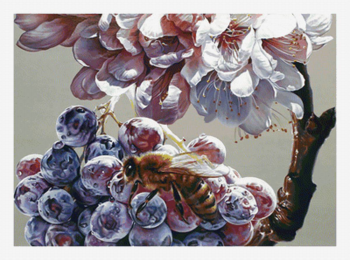 Цветочно-ягодная2. - цветы, пчела, ягоды, виноград, живопись - предпросмотр