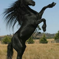 Схема вышивки «№2038377»