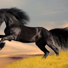 Схема вышивки «№2038395»