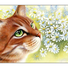 Схема вышивки «Котик и ромашки.»